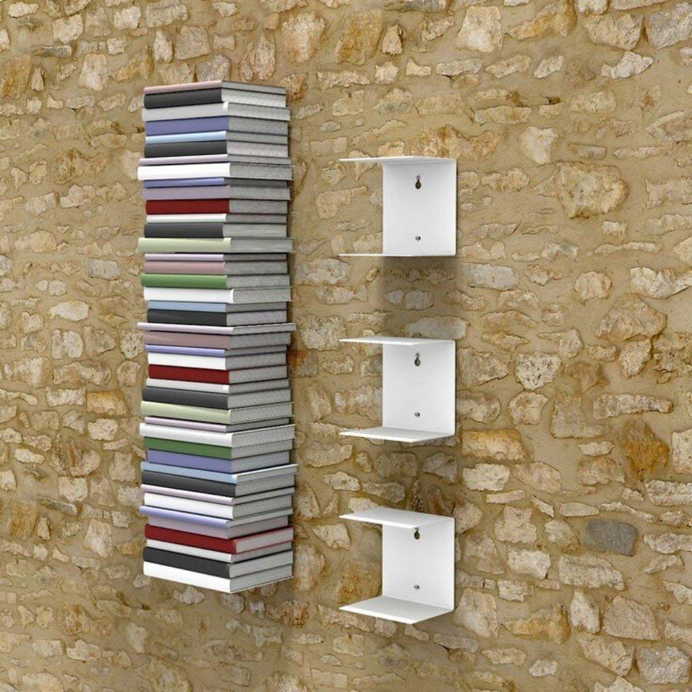 Metal Invisible Book Shelves Wall Mount (Set of 3)