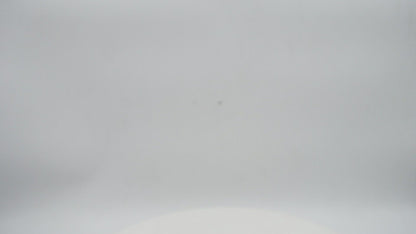 Handmade Metal Lion Decorative Showpiece Golden, Dfms388