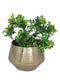 Metal Planter Pots Flower Vase for Indoor, DFMS468