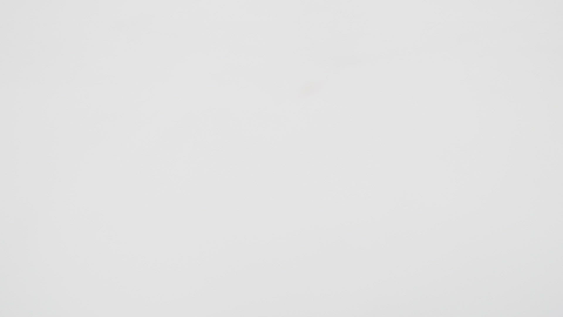 Blessing Lord Hanuman Brass Idol Murti Statue Hbs122