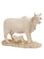 Resin Kamdhenu Cow and Calf Statue COAMAS101