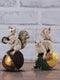 Resin Squirrels Showpiece for Decoration (Set of 2)