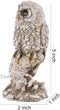 Polyresin Owl Sitting on Tree Feng shui Showpiece