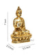 Metal Blessing Buddha Idol Showpiece Bbs309