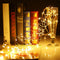 Decorative Battery Operated 30 LED Silver String Lights