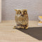 Brass Feng Shui Owl Bird Decorative Showpiece