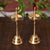 Brass Traditional Golden Kerala Diya Oil Lamp Stand Showpiece (Set of 2)