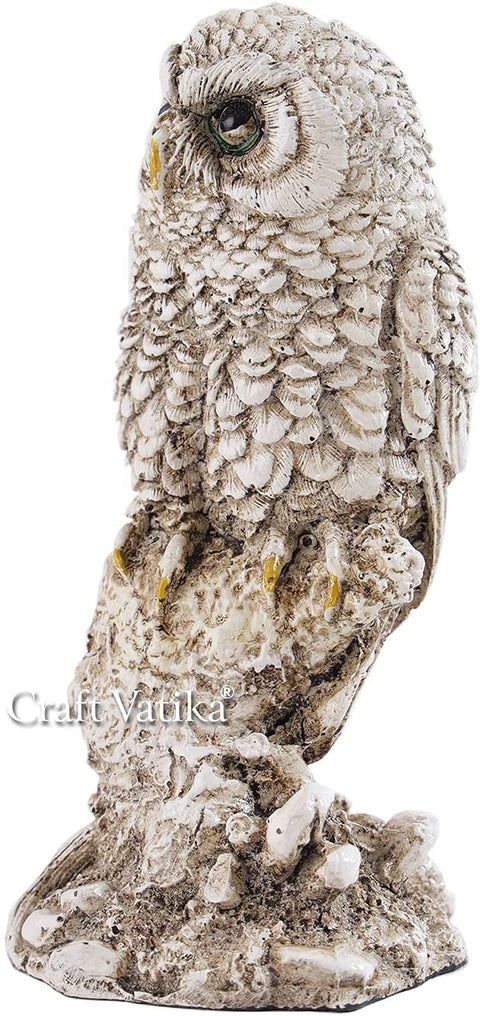 Polyresin Owl Sitting on Tree Feng shui Showpiece