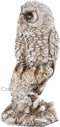 Polyresin Owl Sitting on Tree Feng shui Showpiece