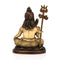 Brass Lord Shiva Statue Shbs132