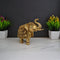  Brass Elephant Trunk Up Decorative Showpiece