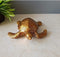 Resin Fengshui Tortoise Showpiece for Home Vastu