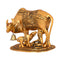 kamdhenu cow with calf, kamdhenu cow statue, kamdhenu cow showpiece figurine, animal showpiece, vastu, feng shui items