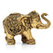 Trunk Up Elephant Brass Decorative Showpiece