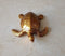 Resin Fengshui Tortoise Showpiece for Home Vastu