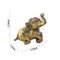 Brass Trunk Up Golden Elephant Statue for Decor