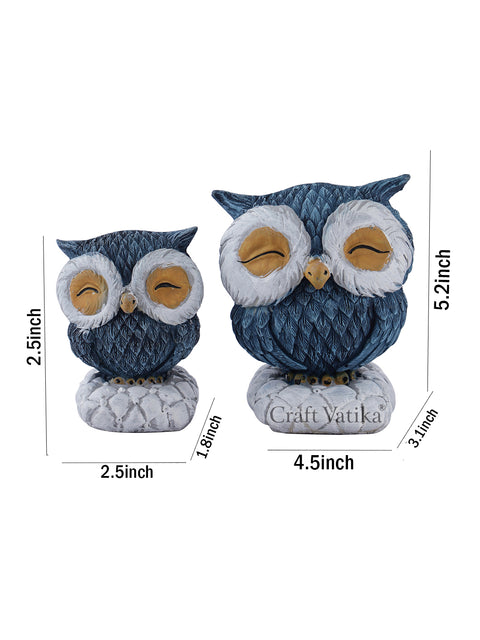 Feng Shui Bird Owls Pair Decorative Resin Figurine