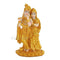 Radha Krishna Decorative Resin Idol for Gift & Decor