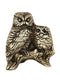 Owl Bird Brass Decorative Showpiece Dfbs164