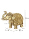 Brass Elephant Trunk Up Decorative Showpiece Dfbs423