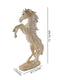 Handcrafted Resin Horse with Uplifted Legs Standing Showpiece, DFMAS412