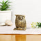 Brass Feng Shui Owl Bird Decorative Showpiece Dfbs226