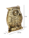 Brass Feng Shui Owl Bird Decorative Showpiece Dfbs226