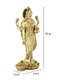 Goddess Lakshmi Standing Posture Brass Idol Lbs121