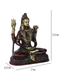 Lord Shiva Meditating Brass Statue Shbs125