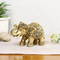 Trunk Up Elephant Brass Decorative Showpiece Dfbs222